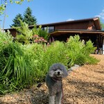 SHOZO COFFEE KARUIZAWA - 