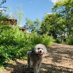 SHOZO COFFEE KARUIZAWA - 