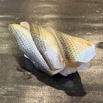 小判寿司 棚倉 - 新子