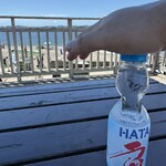 猿島オーシャンズキッチン - 