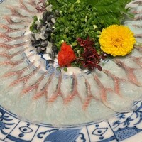 魚料理専門 魚魚一 - 