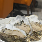 ジンギスカン×厚岸牡蠣  ラムグチカズヤ - 