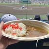 甲子園カレー