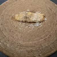 おちあいろうステーキハウス東京 - 