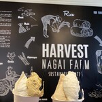 ハーベスト ナガイファーム - 