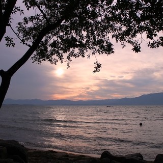 シャーレ水ヶ浜_2