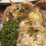 大衆居酒屋魚さんこ - 