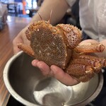 大衆居酒屋魚さんこ - 