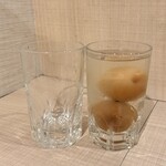 モツの朝立ち - 