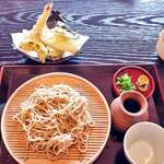 庭竜 - 料理写真:さるそばｗｉｔｈ天ぷら盛り合せ