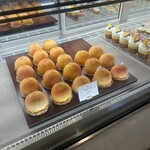 フォルテシモ アッシュ - 