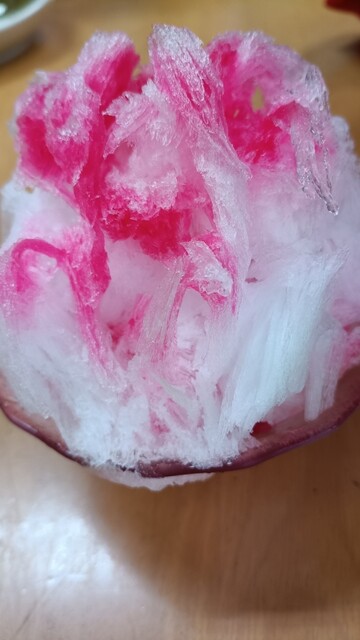 とがし - 藤島（その他）の写真