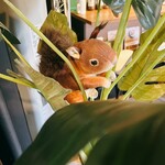 エゾリス珈琲 - 