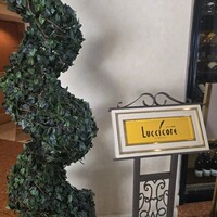 ルッチコーレ - 