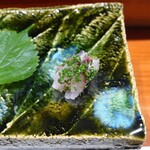 鮨匠 のむら - 白鯵(根付き真鯵)(鹿児島県串木野産、游がせ、朝〆)