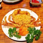 Hoang Yen - CỦA LỘT CHÂY TÔI