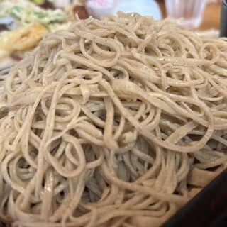 手打蕎麦 たなぼた庵_1