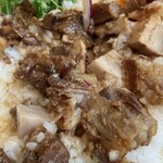 アジアのかまど - 魯肉飯のアップ