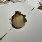 レフェルヴェソンス - 