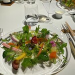 レフェルヴェソンス - 