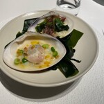 レフェルヴェソンス - 