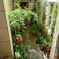 中國名菜 龍坊 代官山店 - 