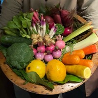 レフェルヴェソンス - 