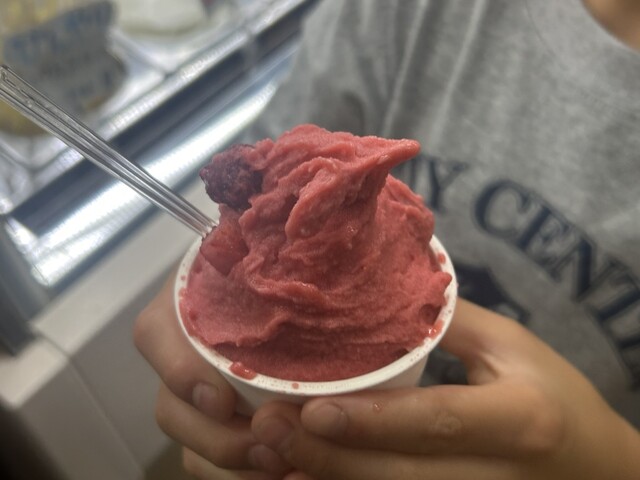 松山ハーブ農園 - 長苗代（ジェラート・アイスクリーム）の写真