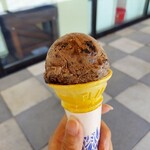 BLue Bee - 