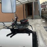 大衆食堂あまつ - 