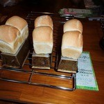 アルファルファ - 【2014年10月】