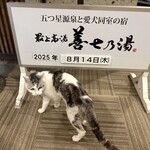 最上高湯 善七乃湯 - フロント