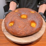 イル アオヤマ - 