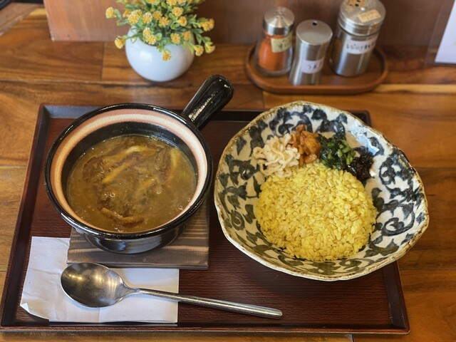 Odashi to Spice Ganso Electroni Curry, Osaka, Japan