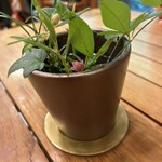 カフェサブヒロ - 