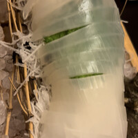 いけす無門 新宿 - 