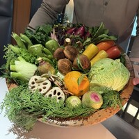 レフェルヴェソンス - 