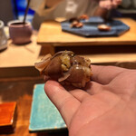 初音鮨 - 蛍烏賊