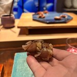 初音鮨 - 蛍烏賊