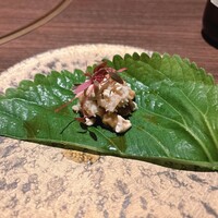 川端志史 - 
