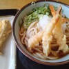 釜揚げうどん　小塚屋 - えび天おろしぶっかけうどん、大盛