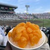 ピザーラエクスプレス 甲子園球場内野店