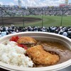 甲子園カレー
