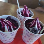 愛采ふぁーむブルーベリーハウス - 