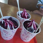 愛采ふぁーむブルーベリーハウス - 