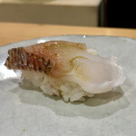 こい勢 - 特選 旬のおまかせ握り３