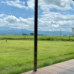 アル・ケッチァーノ  - 店内から眺め