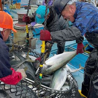血抜きや神経〆を施した鮮度抜群の魚を仕入れる「本物の産直」。