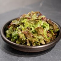 チョレギサラダ