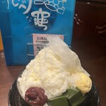 おしゃべりな亀 - 